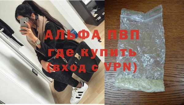 apvp Гусев