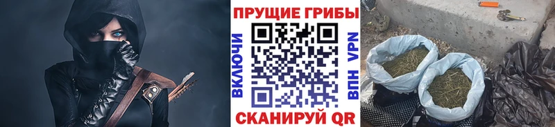 Галлюциногенные грибы Magic Shrooms Железногорск-Илимский